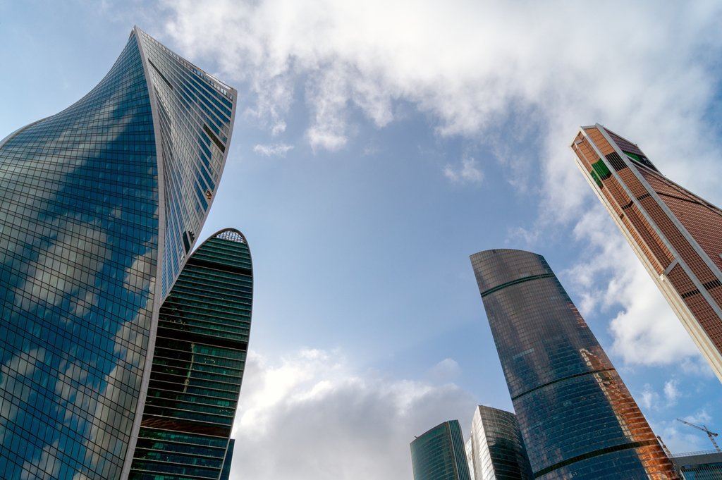 Москва сити 29. Дружба Сити Москва. Москва Сити дерево.