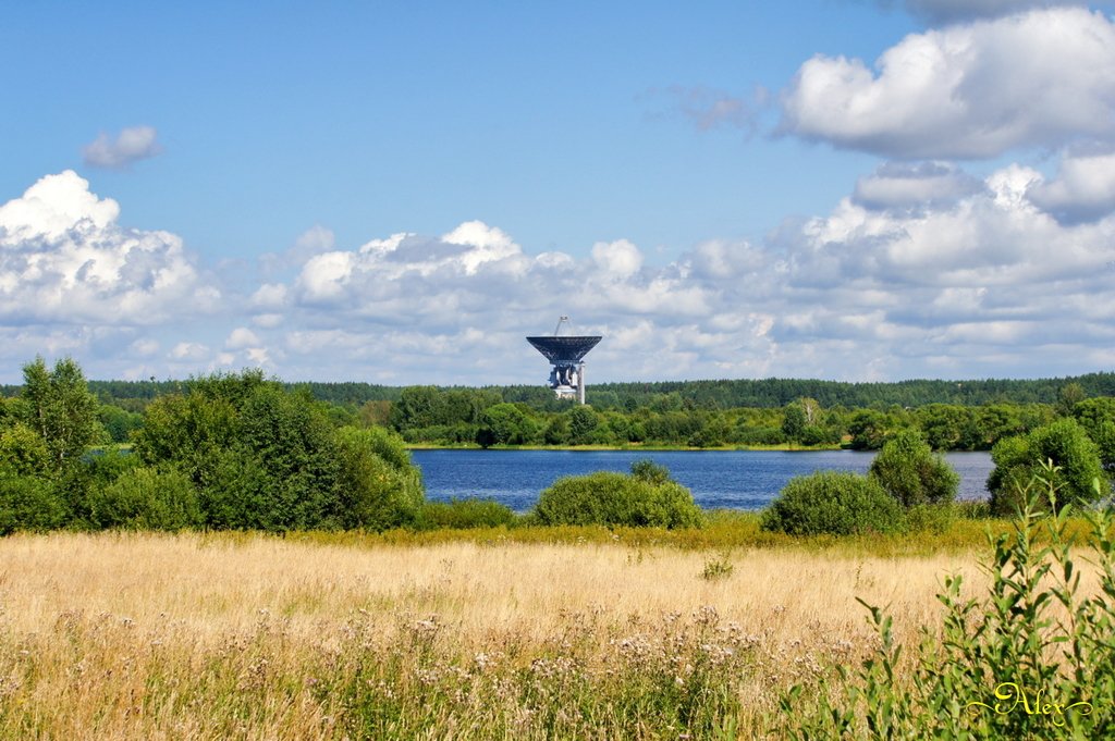 Тарелка в калязине фото