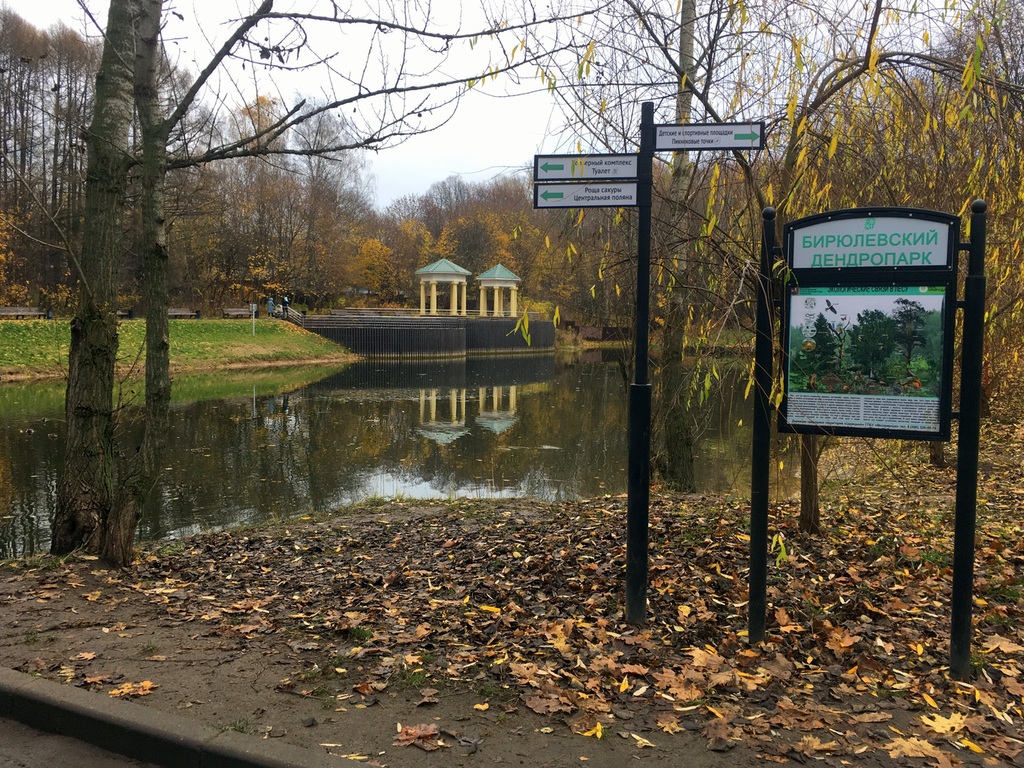 Фото дендропарка в бирюлево